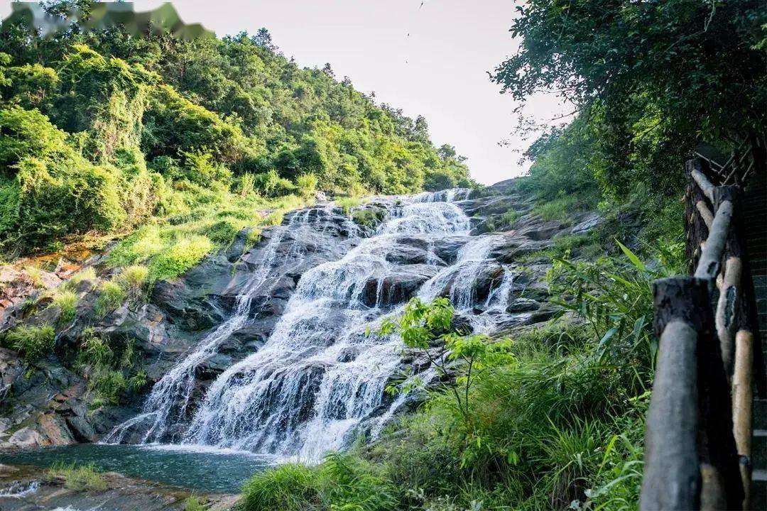 深圳168第九站112021號坪山碧嶺綠道馬巒山徒步16公里徒步