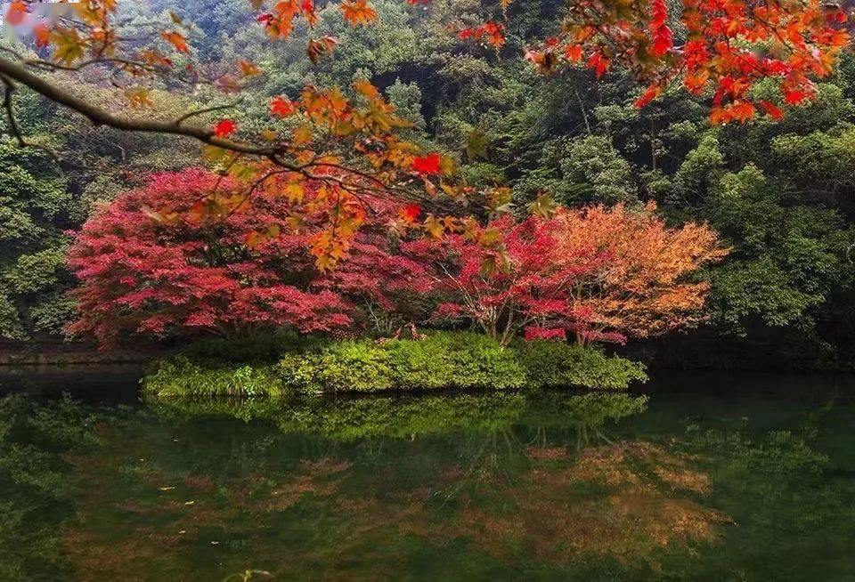 福利|低至399，双11高性价比集合大促！山巅270°躺看云海日落、江浙沪一站式亲子度假…这次稳了