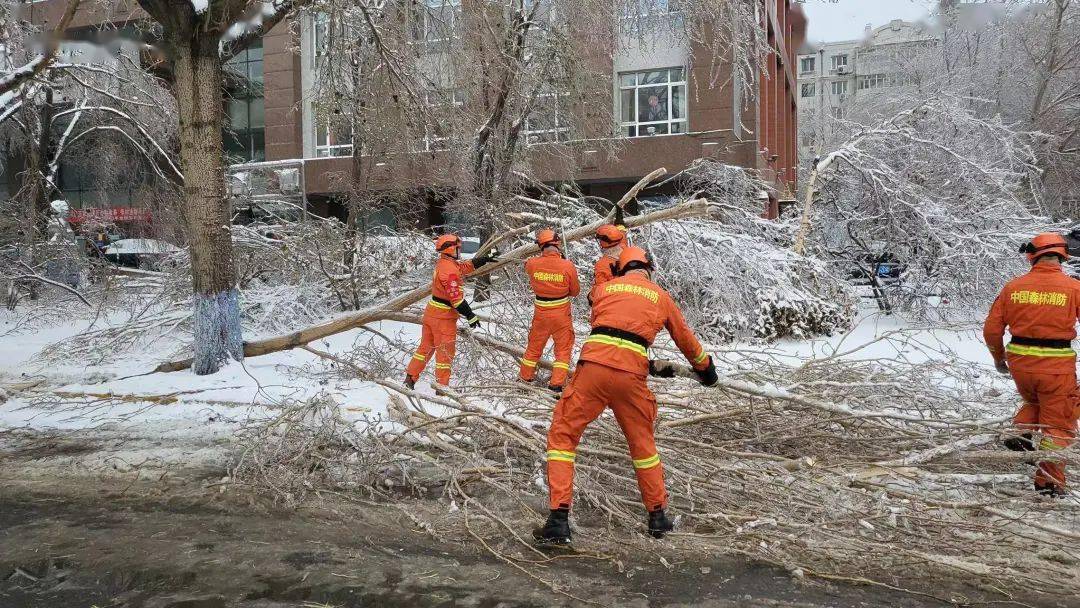 抗击雪灾图片