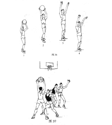 籃球教學必備技戰術圖解