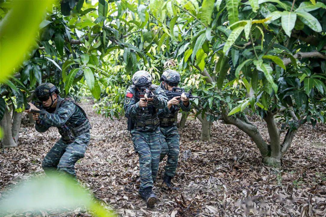 枪对不动目标射击特战队员正在进行精准狙击(奎子清)3武警徐州支队特