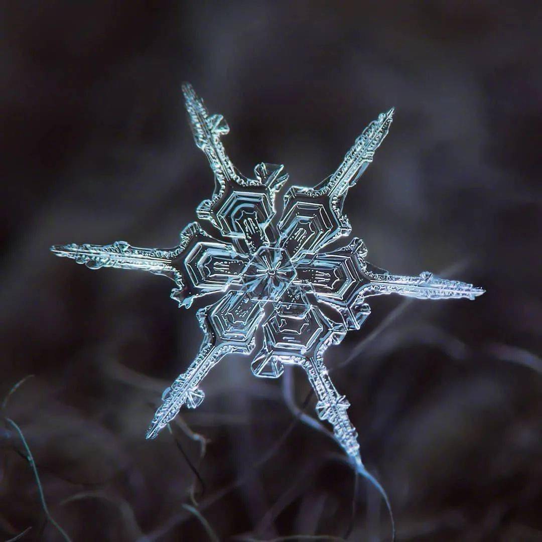 雪花神奇！他用显微镜100倍拍摄雪花，引上万人围观：好美~