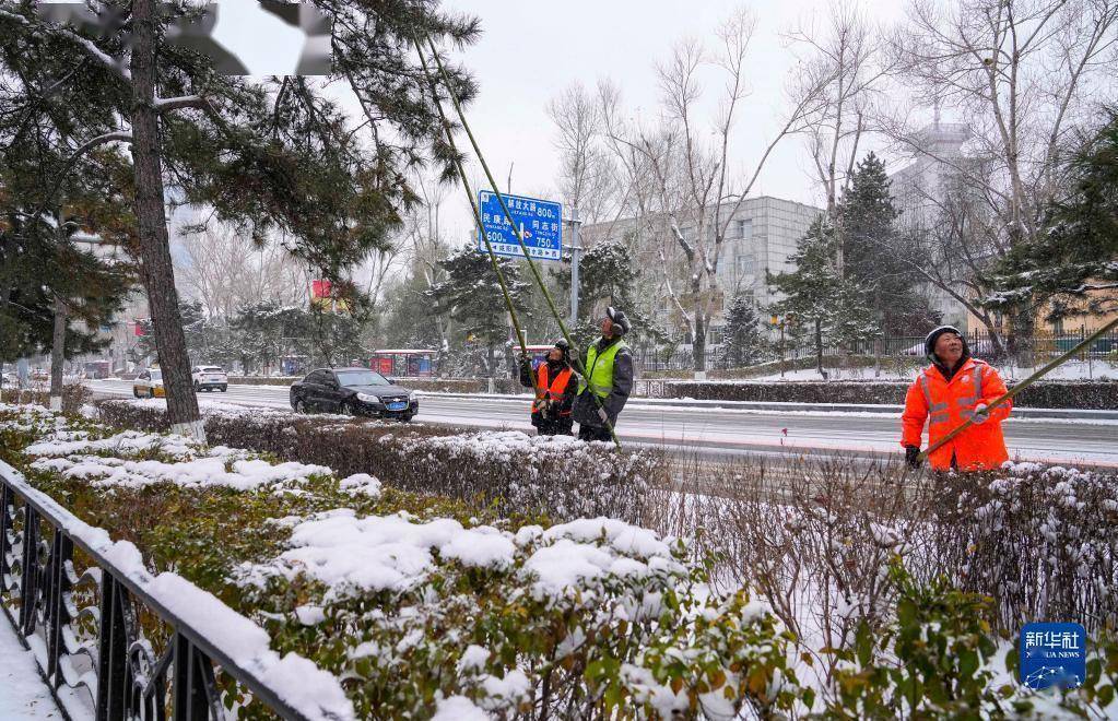 风雪,风雪|以雪为令，风雪中有他们守候