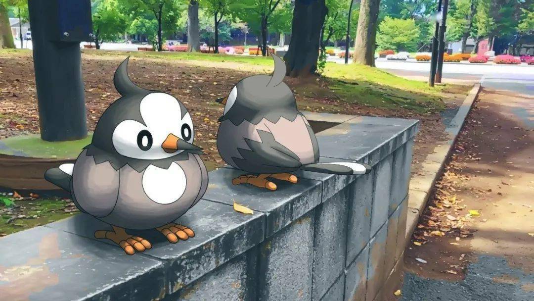 图集当宝可梦出现在现实世界中