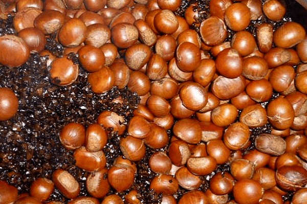 但是《中国食物成分表(第六版)》中介绍:100g熟板栗的热量214千卡