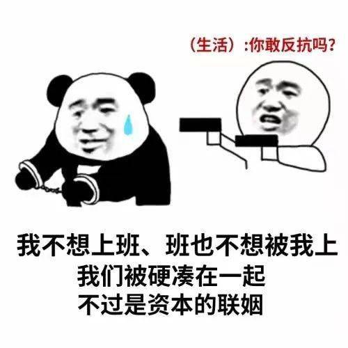 是朋友 是好朋友 是精神支柱 是我的依靠 是壞情緒的疏導者 是聽我說