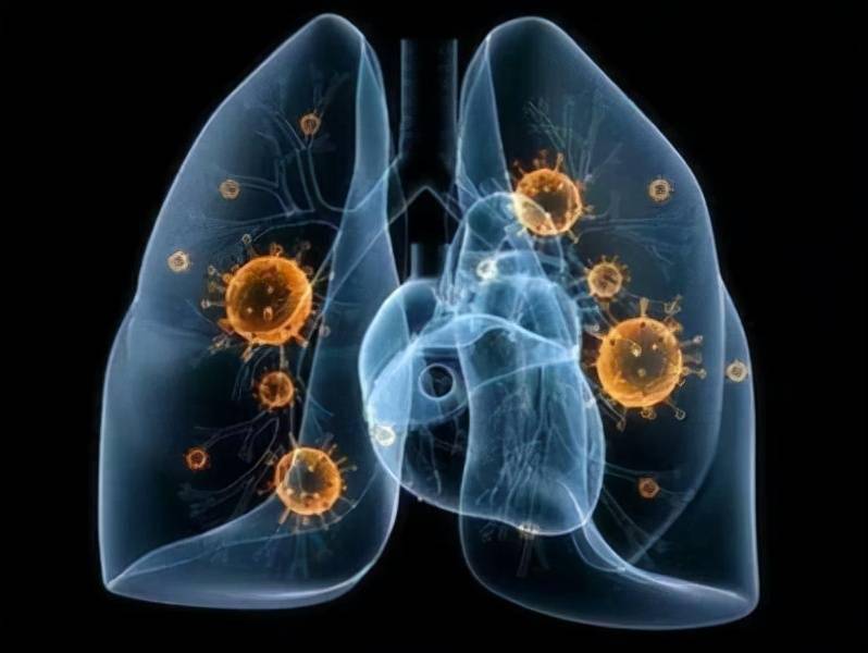 阳性|成都新增1例本土确诊病例，第7次核酸检测阳性