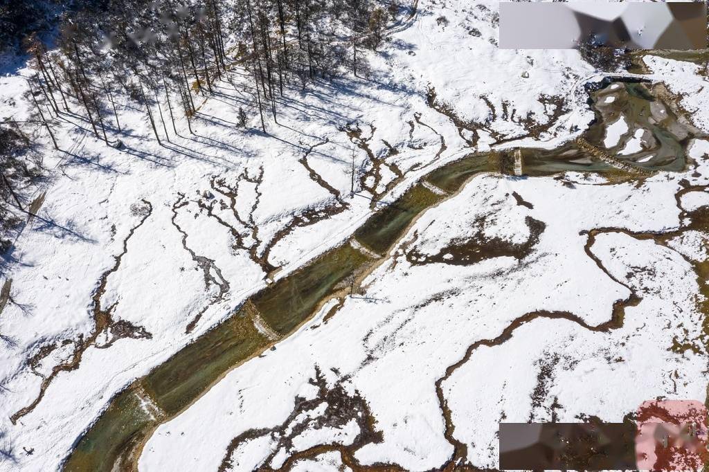 景区|如诗如画！来看毕棚沟初冬雪景大片