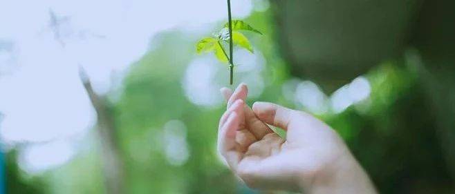 一切顺其自然，上天自有安排！_生活