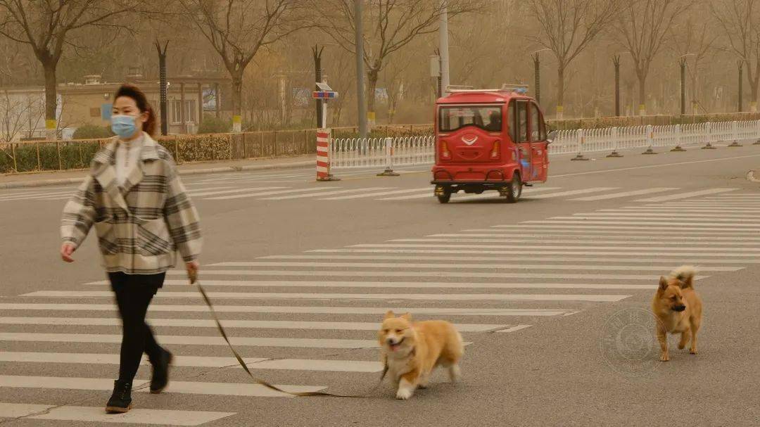 作品展|2021丽水摄影节 | 《迷?沙》王玉甫摄影作品展