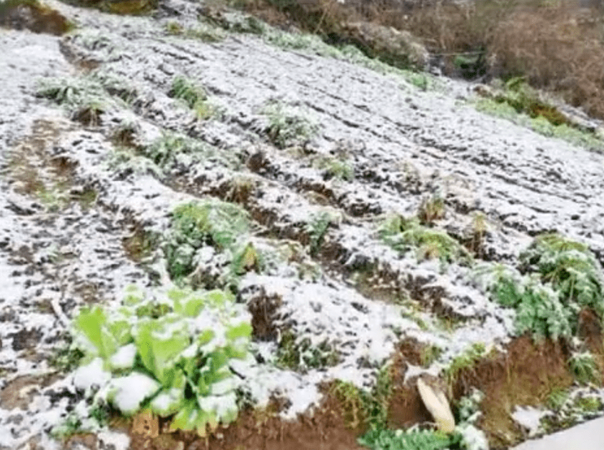 气温|下雪啦！湖南今冬初雪下在这个地方！