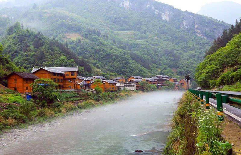 贯彻全会精神推进绿色崛起沿渡河镇培育特色产业助力乡村振兴