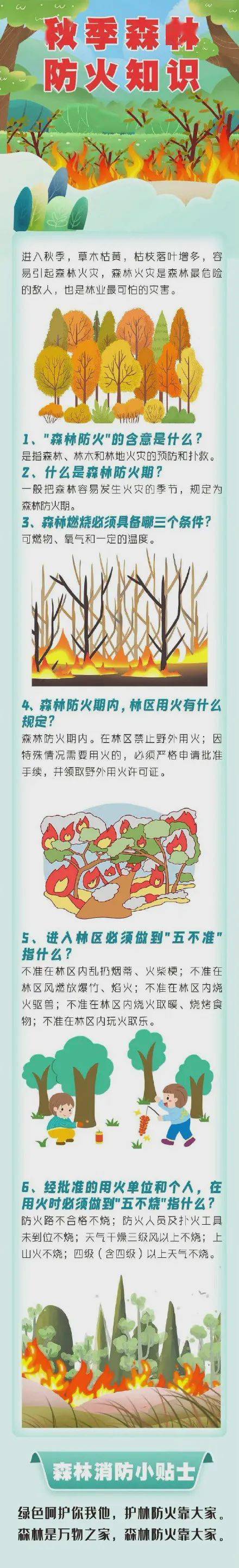 秋季天气干燥这些森林防火知识要知道 火灾