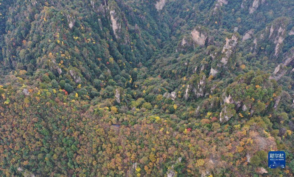 张家界|湖南张家界：峰林色彩斑斓景色美