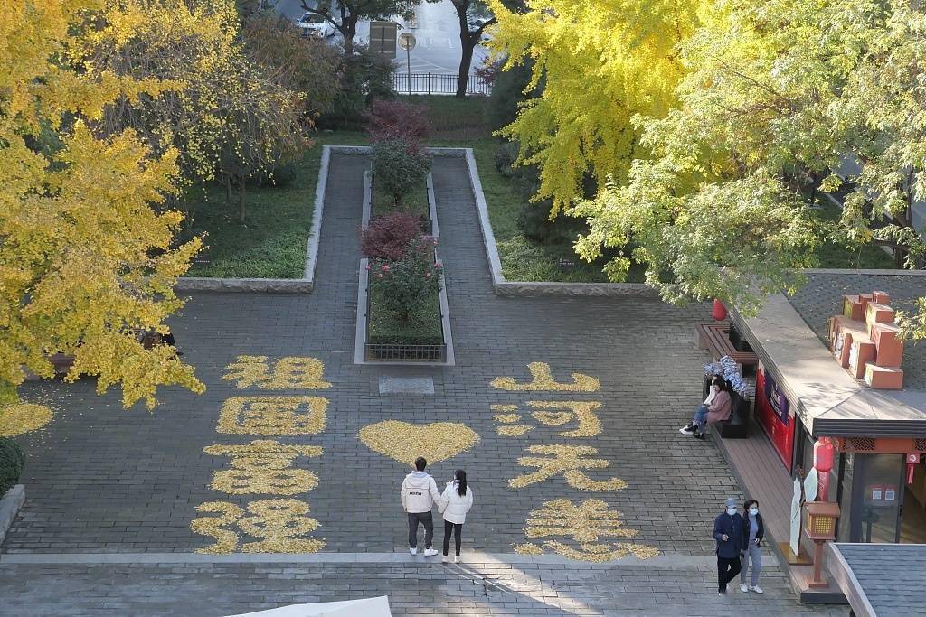 西安|西安城墙景区银杏落叶“变废为宝”