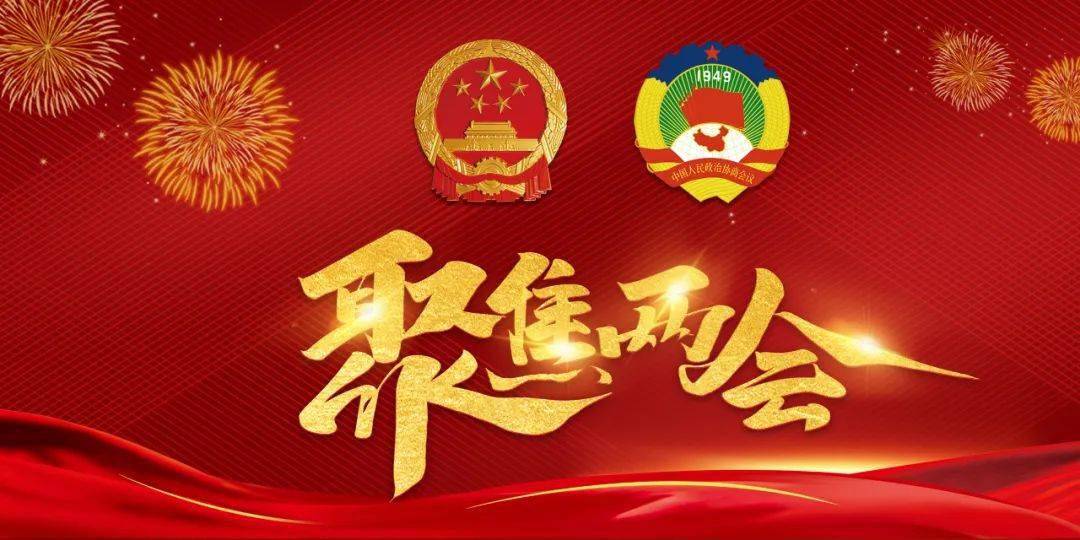 聚焦阳西两会心系民生与发展县人大代表向大会报到