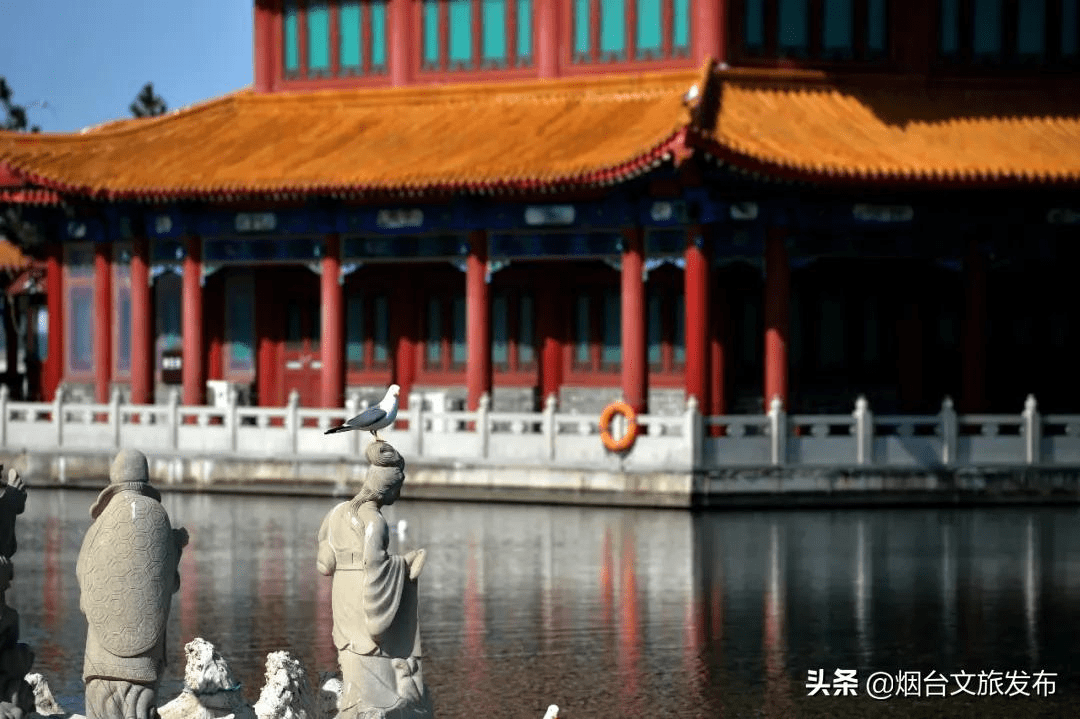 海鸥|葫芦里供的是八仙景，葫芦外追的是八仙境