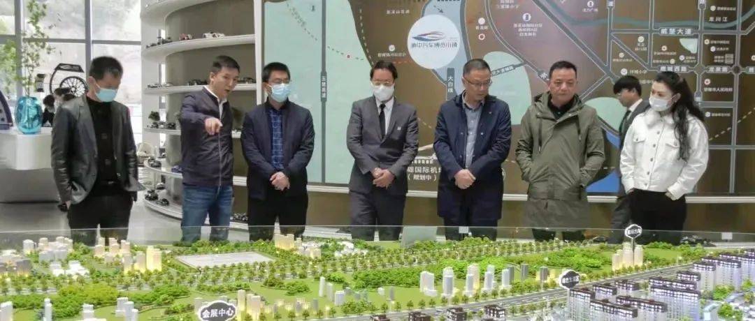 杨绪春率队到楚雄考察伟光汇通文旅小镇项目_发展