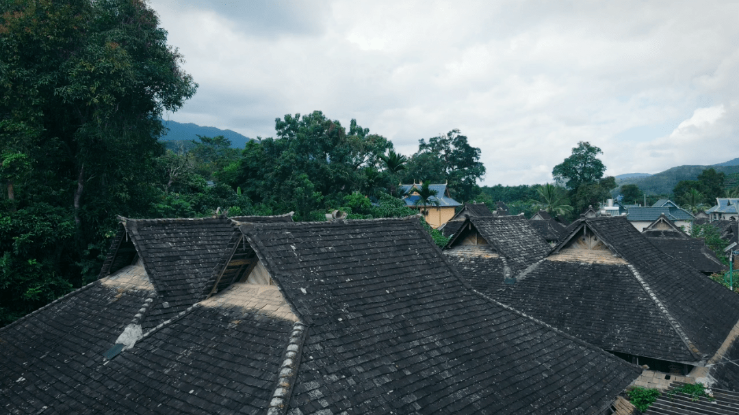 象往的地方乘着火车游西双版纳勐养镇