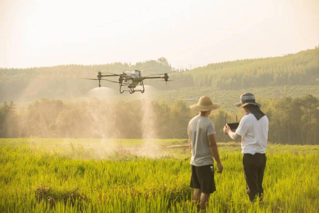 一大一小！大疆农业无人机T40和T20P发布，农业生产更轻松
