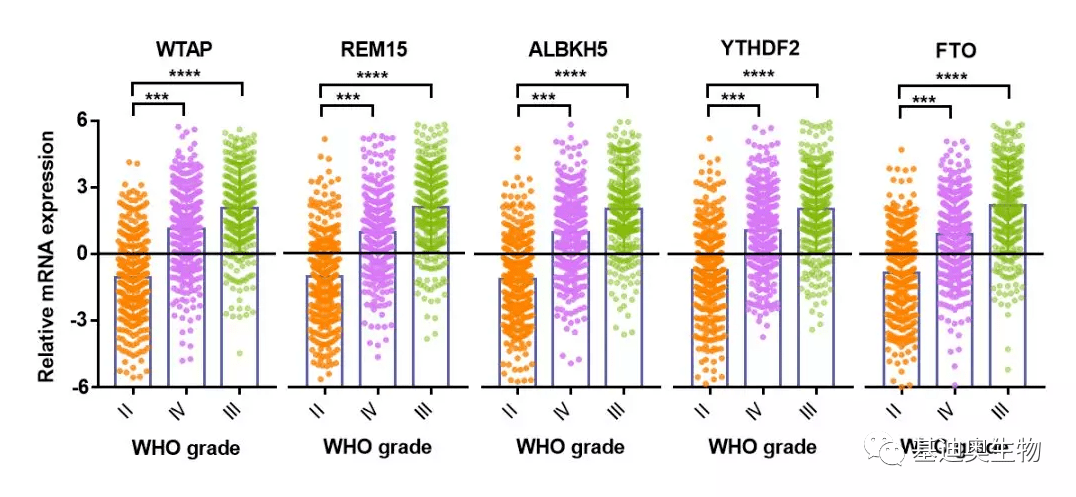 绘制软件:graphpad prism 9