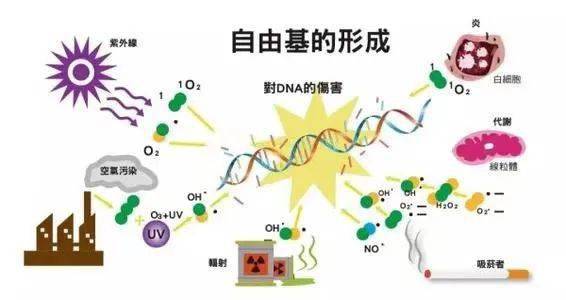 余甘拍1发10：美白饮清货最后几十组！