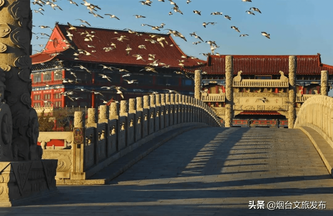 海鸥|葫芦里供的是八仙景，葫芦外追的是八仙境