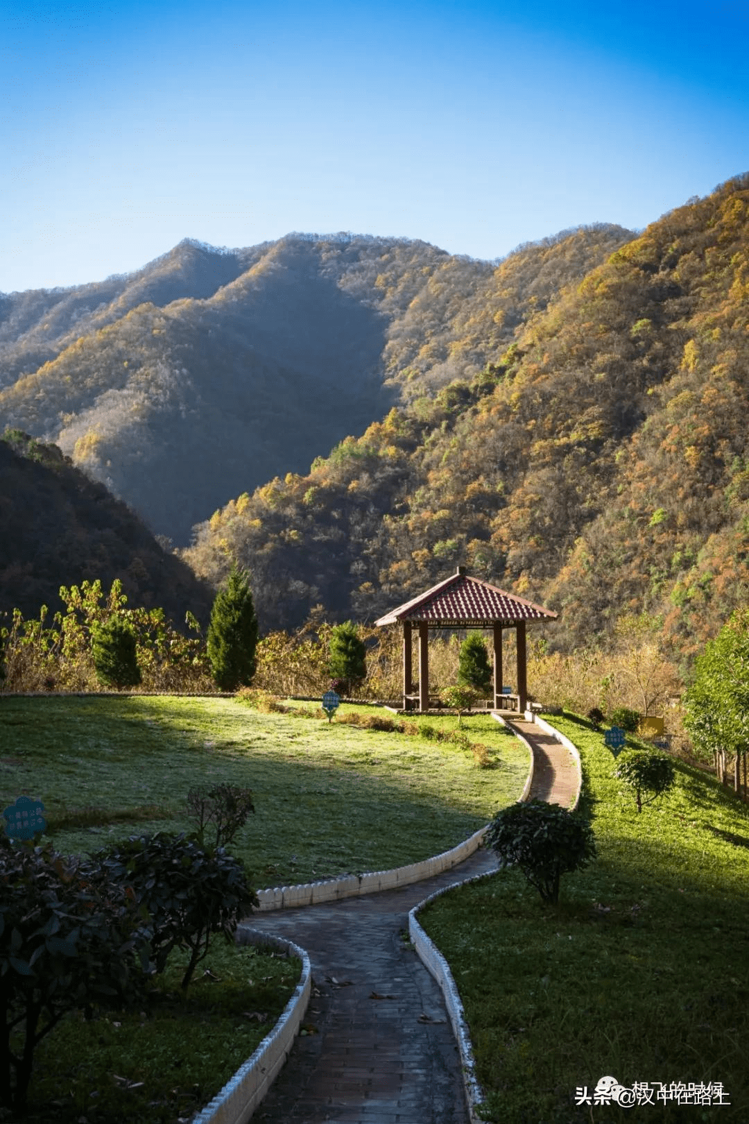 别了秋还有冬佛坪初冬影像