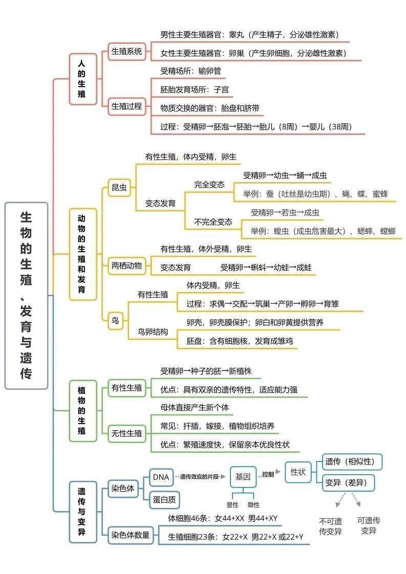 了然|初中生物全册思维导图总结，所有必考点一目 了然！