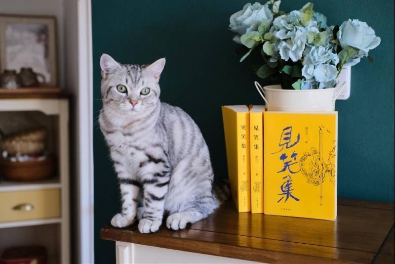 诗作|98岁黄永玉出版《见笑集》：鸟会唱歌 ，人会作诗