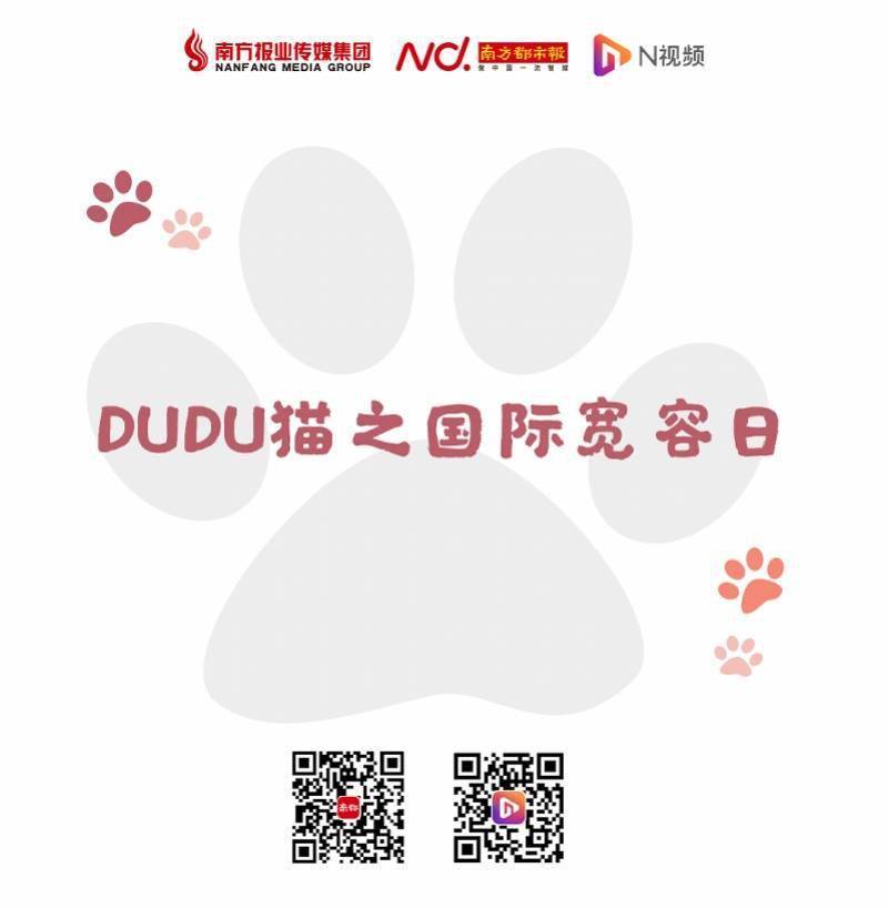 许乐|DUDU猫之国际宽容日（11月16日）：有了宽容，便多了笑容