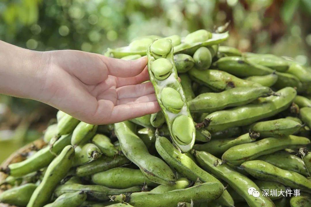 赵先生|天天喝奶茶，却暴瘦20斤！深圳一男子“减肥”后险丧命，只因这件事......