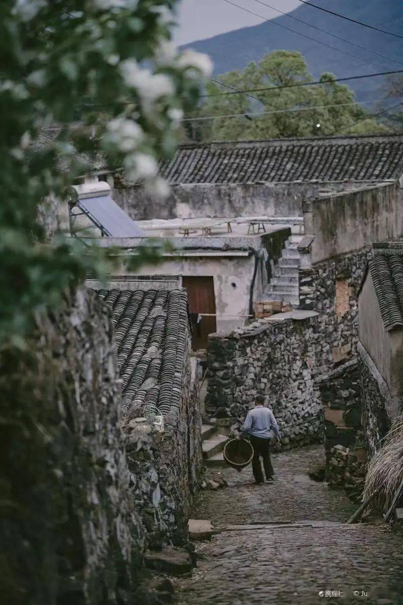 森林|冬日必去！宁波这些高颜值［温泉度假酒店］，良心推荐