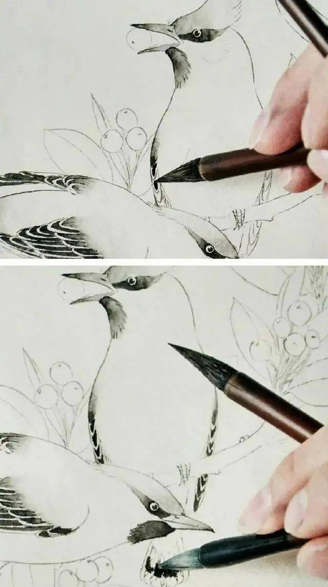 图文教程 | 工笔太平鸟的染色步骤 一步一步跟着画