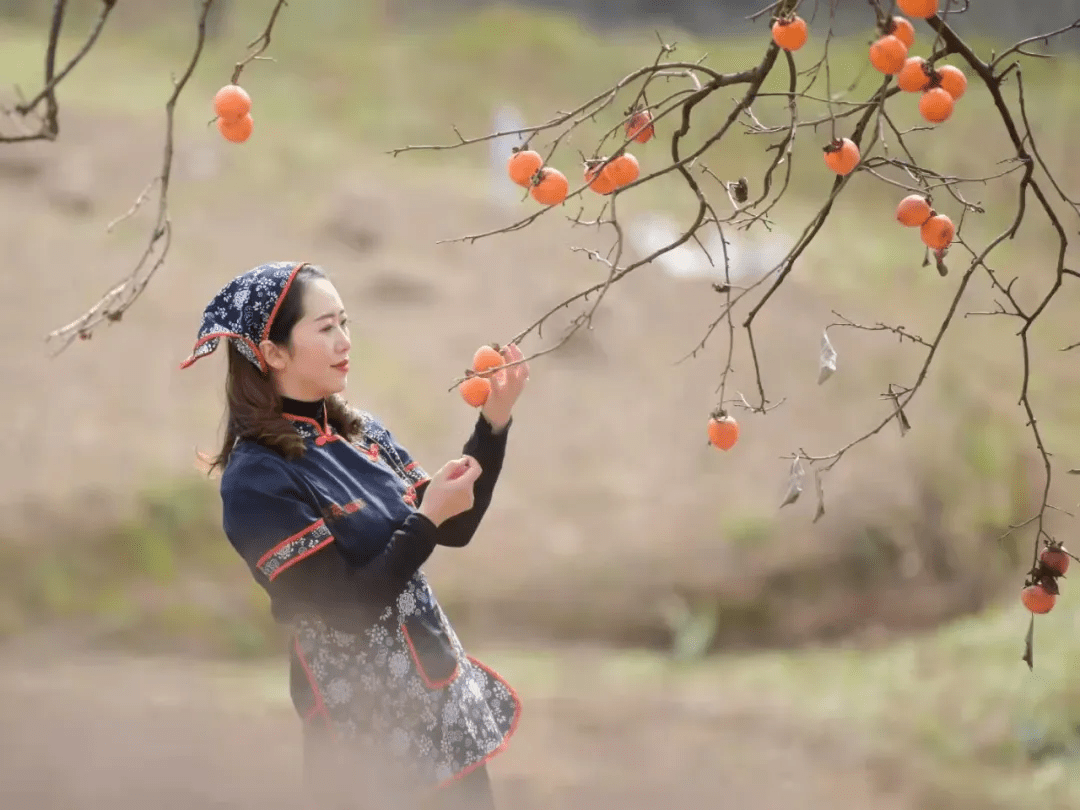 如意|点击此文，“柿柿”如意！