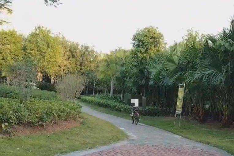 好变态玉林某公园一男子穿着女士内衣边摸边猥琐的问路人