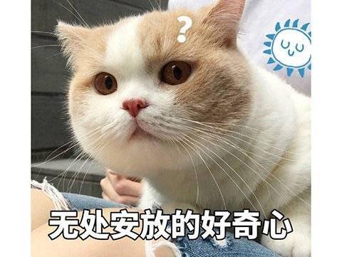 原神|10月最赚钱手游！腾讯爸爸重回榜首，10年老牌三消游戏紧随其后