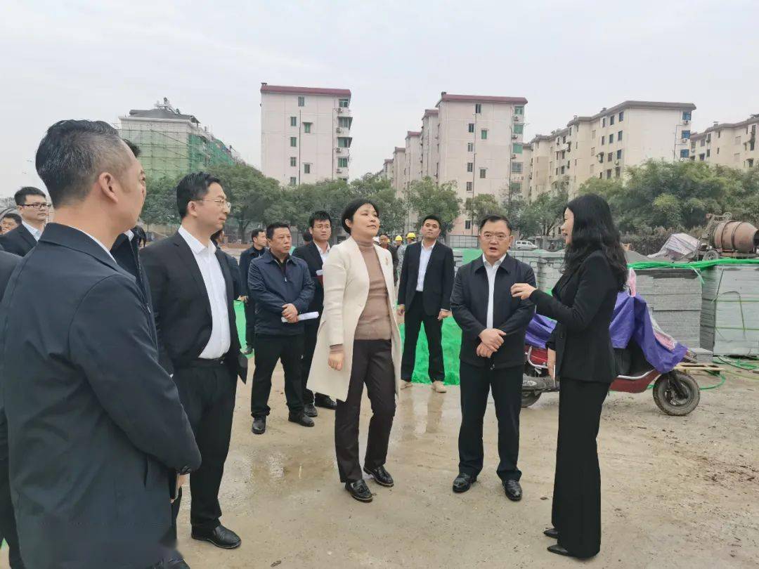 区委书记叶修堂一行到梨园南社区察看"三看"备选项目