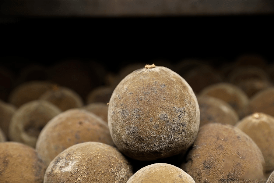 拍卖|严选 | 喉咙灭火器！一颗被拍卖3.8万元的“皇家圣品”化橘红，润喉好舒服