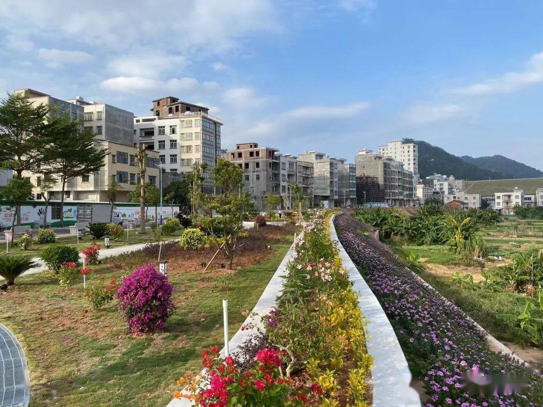 小口袋里的大幸福高州长坡镇新建风景优的口袋公园开园