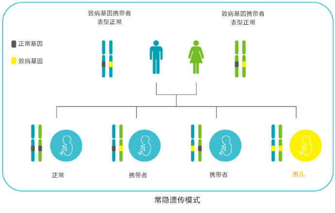 山东省中医院产前筛查与遗传咨询门诊为您的精准医疗保驾护航