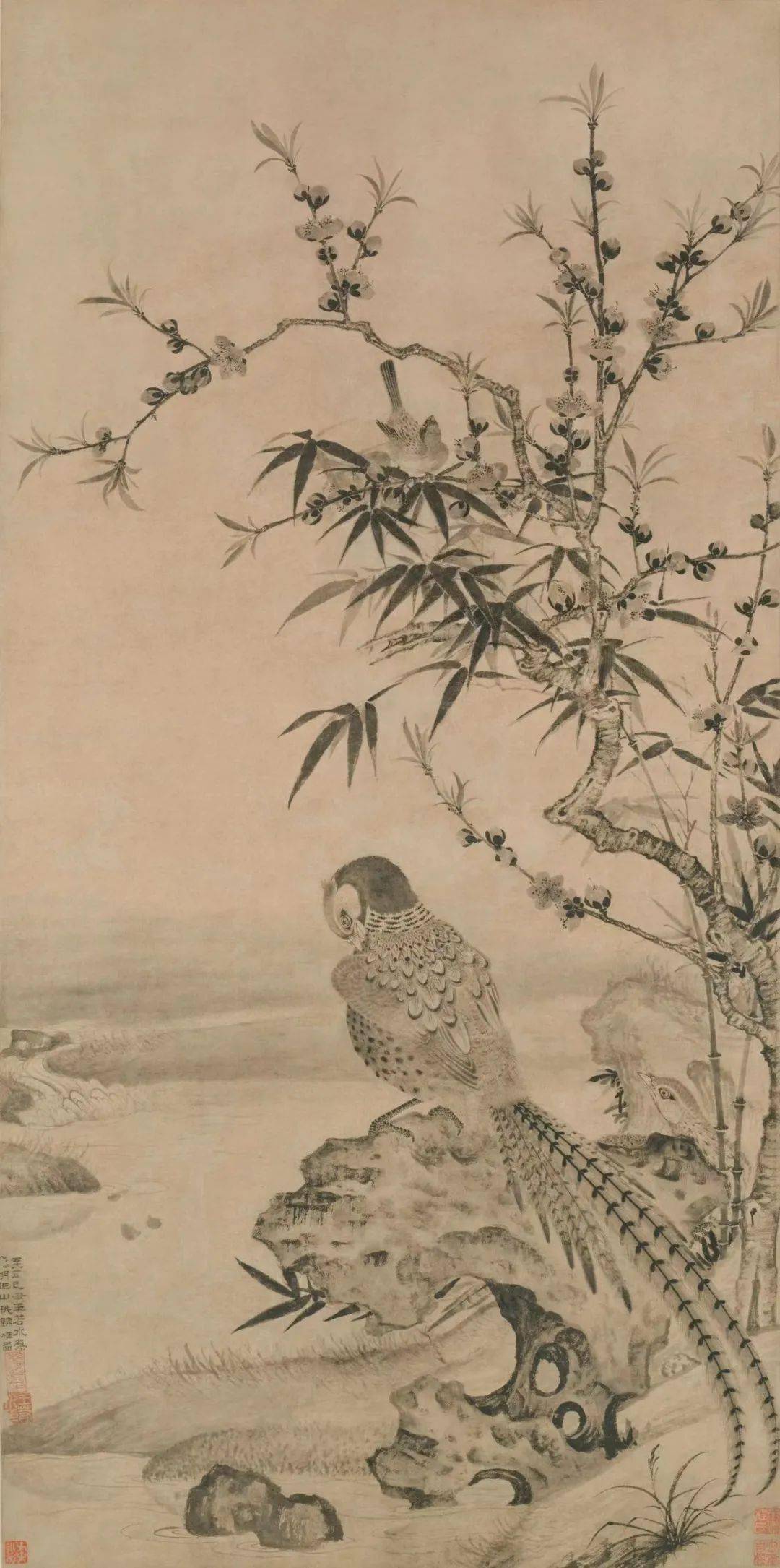 写真还是写意,400多年前他的选择影响了整个花鸟画坛
