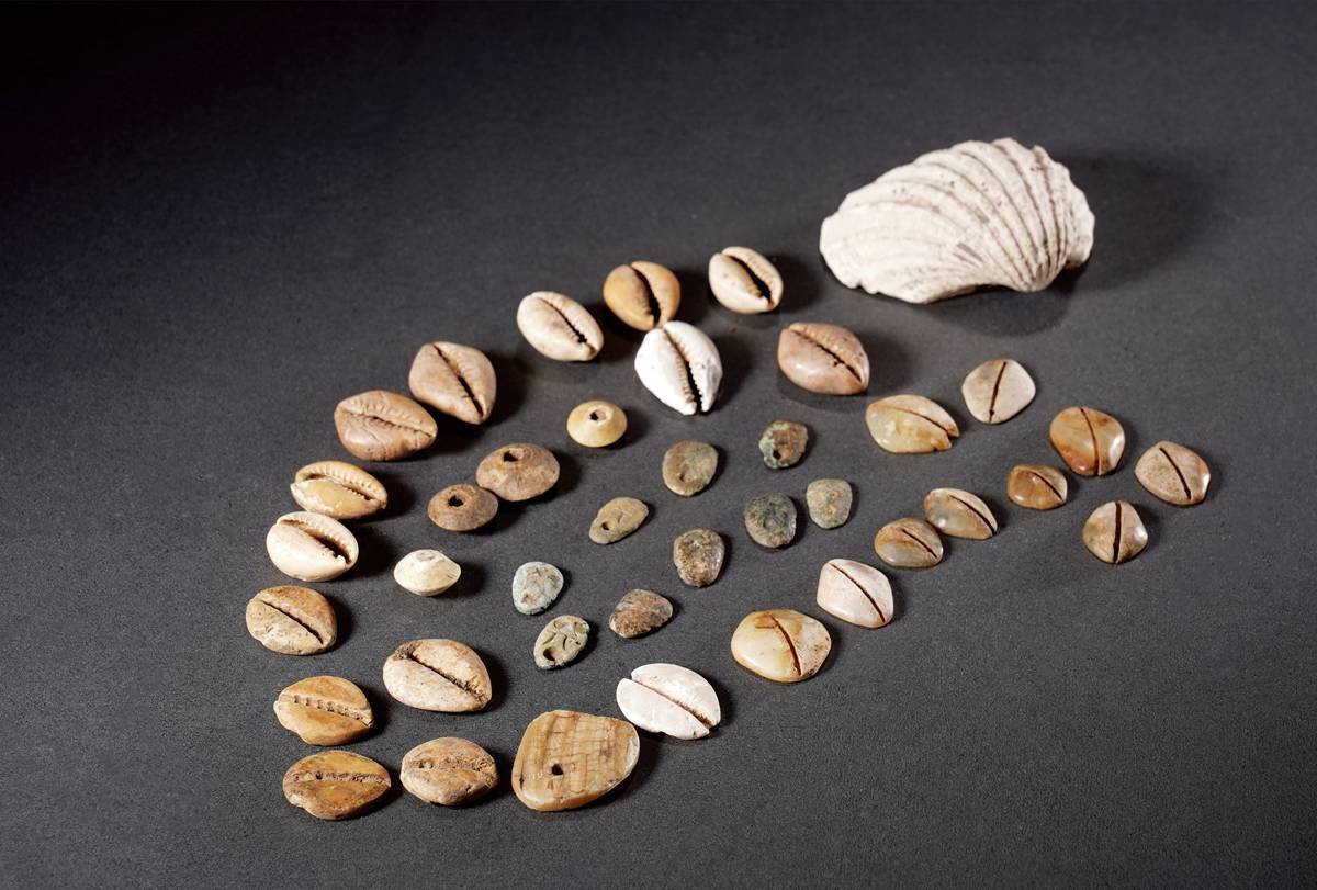 先秦时期曾使用贝壳为货币古人为何不自己去海边捡贝壳