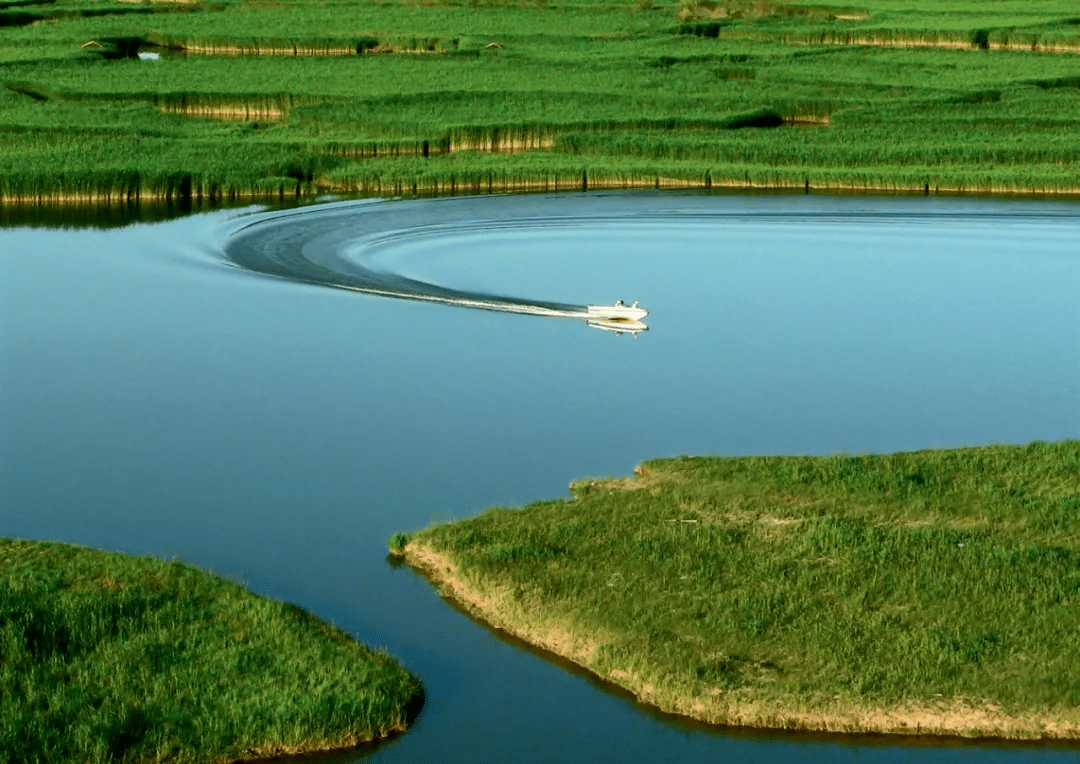 宁夏为何这么水灵