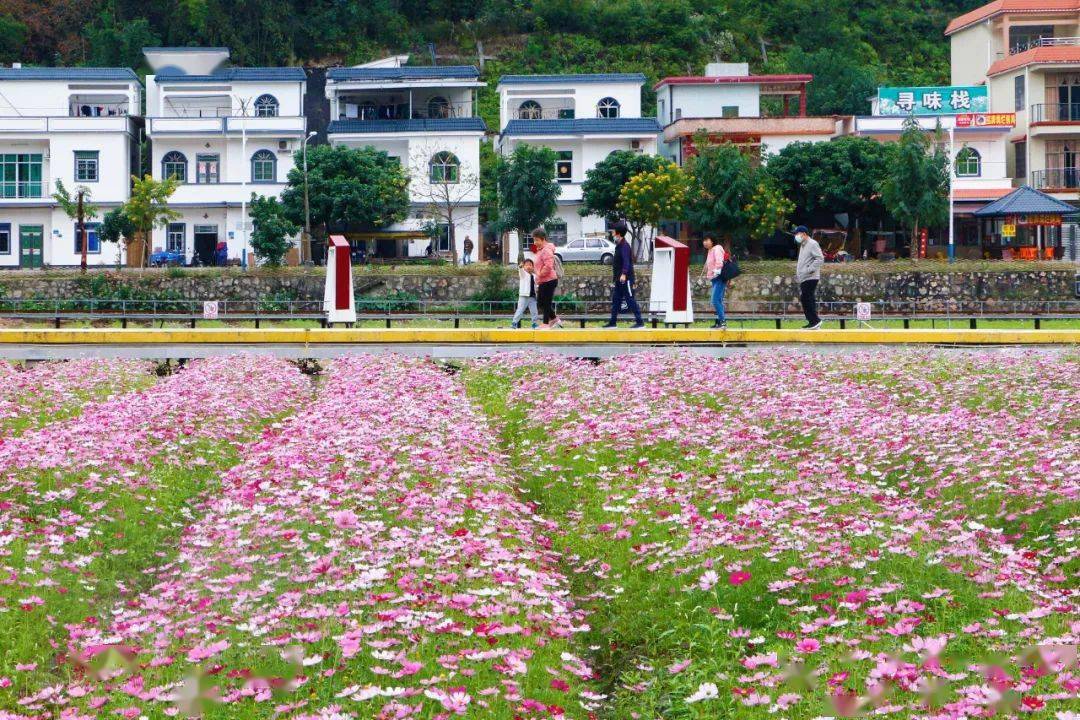 初冬的红山村醉人
