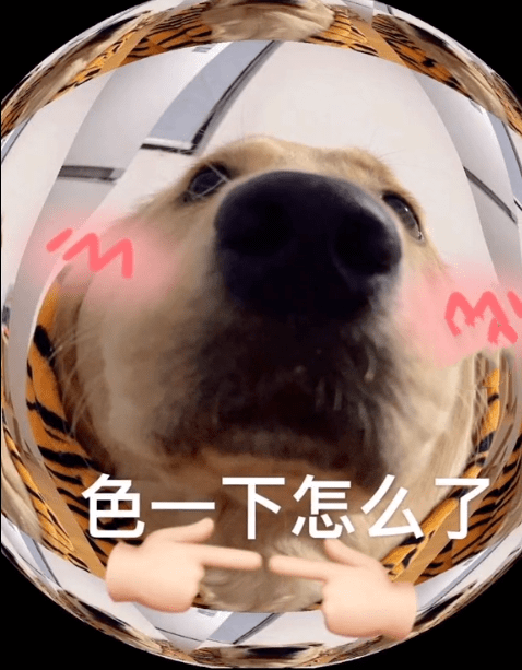 无内鬼,抓紧收图!
