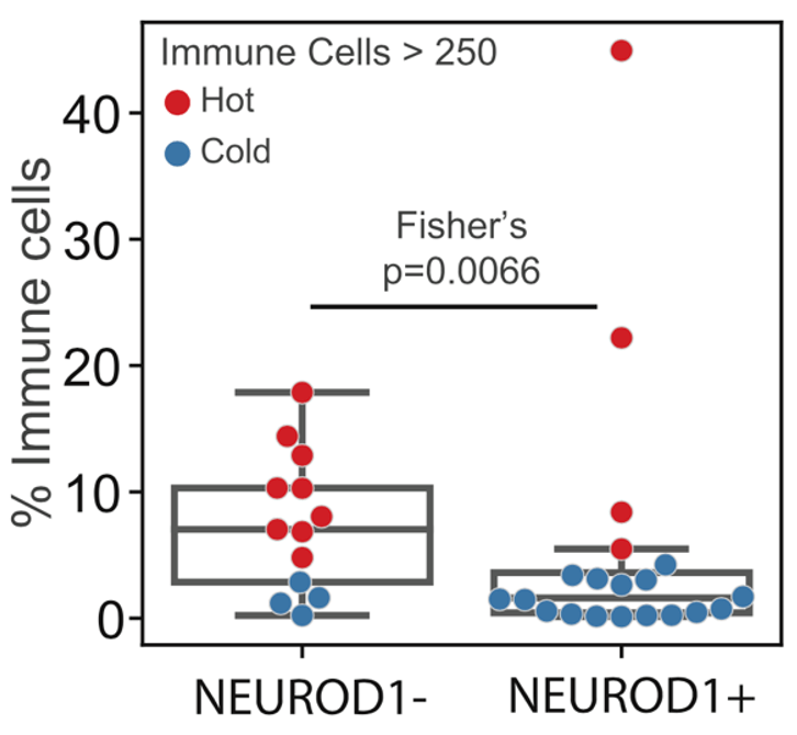 细胞|《细胞》子刊：“小恶魔”大起底！小细胞肺癌究竟为何如此凶残？