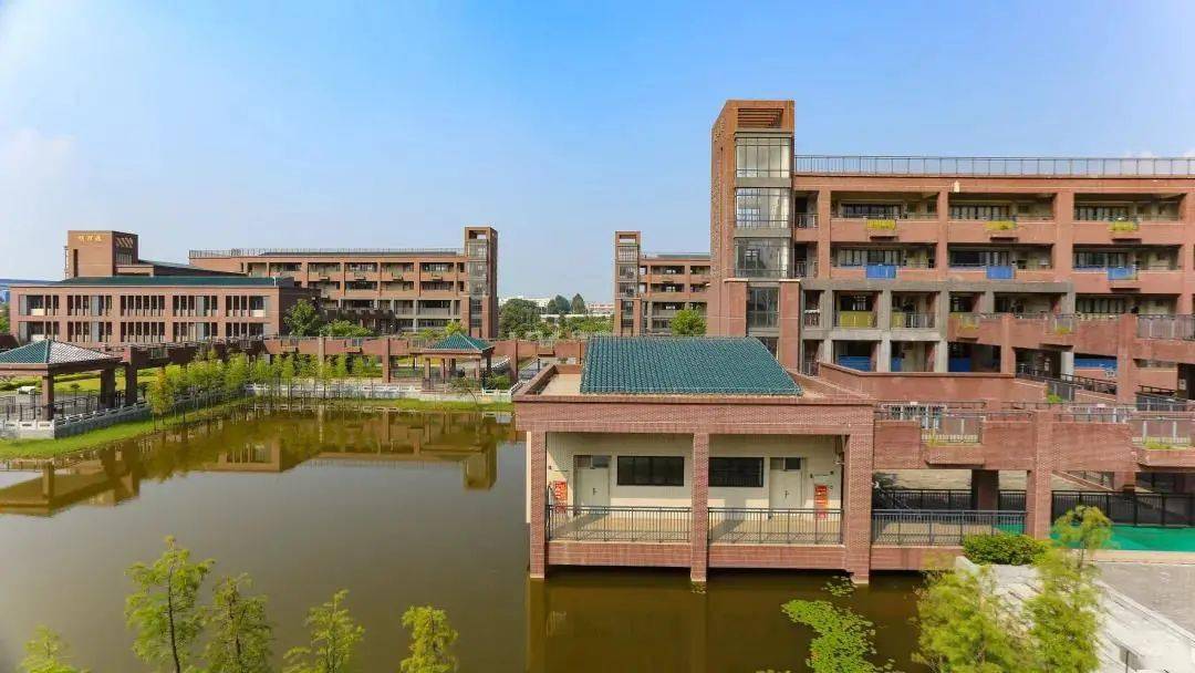 我承认被南沙的学校迷住了