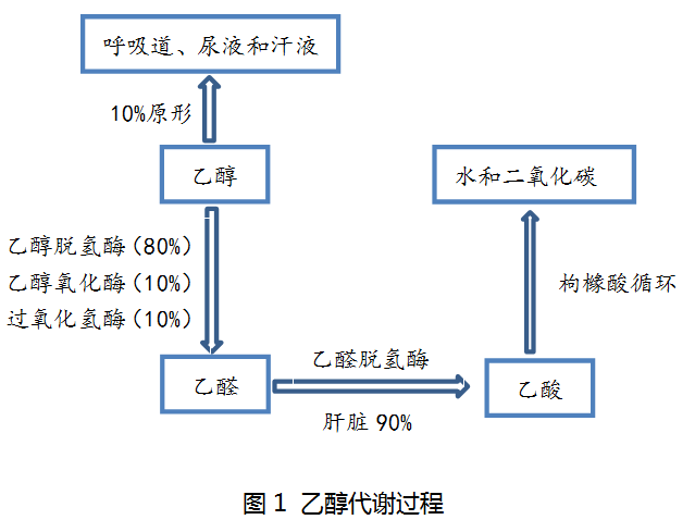 从机制到治疗,一文详解双硫仑样反应_药物