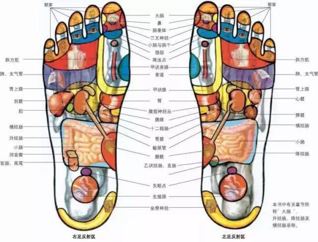 女人经常踩踩自己的脚 不易得妇科病 脚后跟